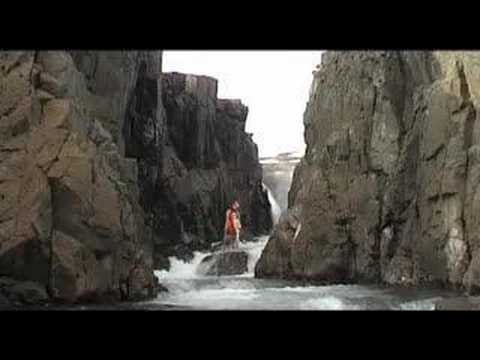 Krauka - "Sælugaukur"