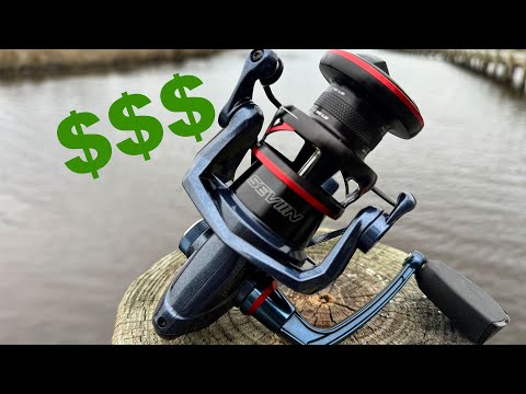 Seviin GSW Is It Worth The Money???