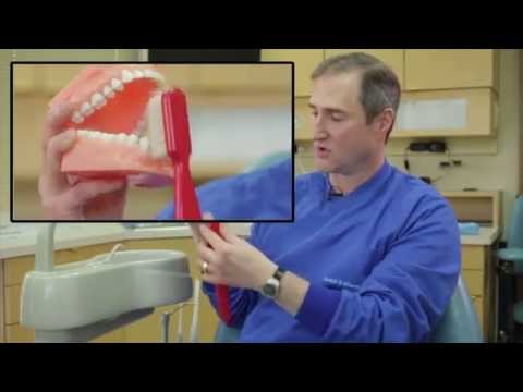 How to Brush Your Teeth Properly