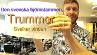 Svalkar vinden - Den svenska björnstammen TRUMMOR