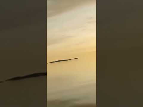 ZEG P Ft. Hamza g SCH - Fade Up (non Official Visualizer)