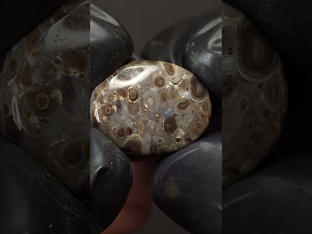 حجر العقيق جلد الحية الطبيعي