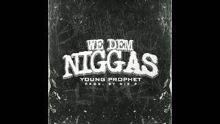 YDN ProF!T - WE DEM NIGG*S [PROD. BY DIZ'P]