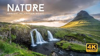 Chillout Music • Nature in 4K • Relaxing Ambient Music • Zen, Ambient, Stress Relief, Yoga, Sleep