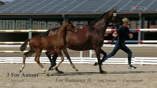 Video of For Amour