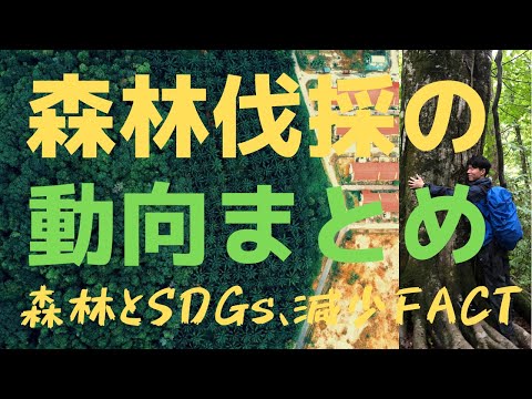 ヨーロッパでは森林伐採が増加している