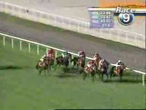 2008 KrisFlyer International Sprint KrisFlyer國際短途錦標