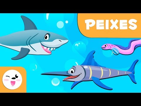 Peixes para crianças - Animais vertebrados - Ciências para crianças