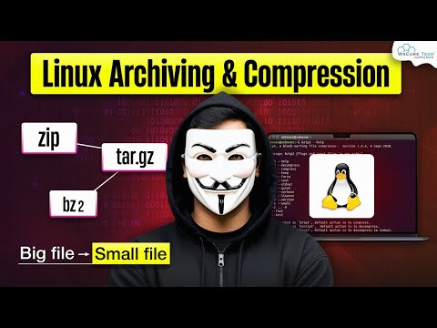 What is Linux Kernel OS Terminal for Beginners