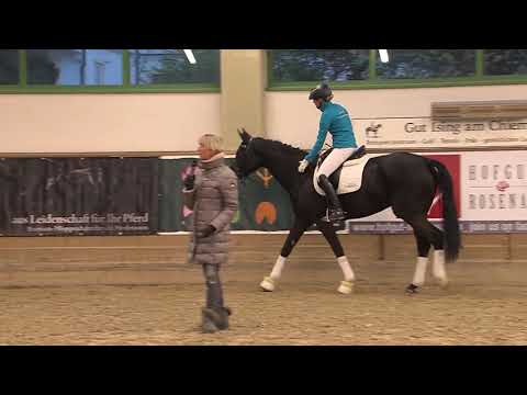 Alte Meister - Ingrid Klimke am 25. April 2016 auf Gut Ising