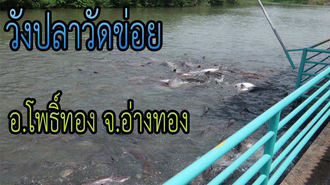 Fish Park at Wat Khoi