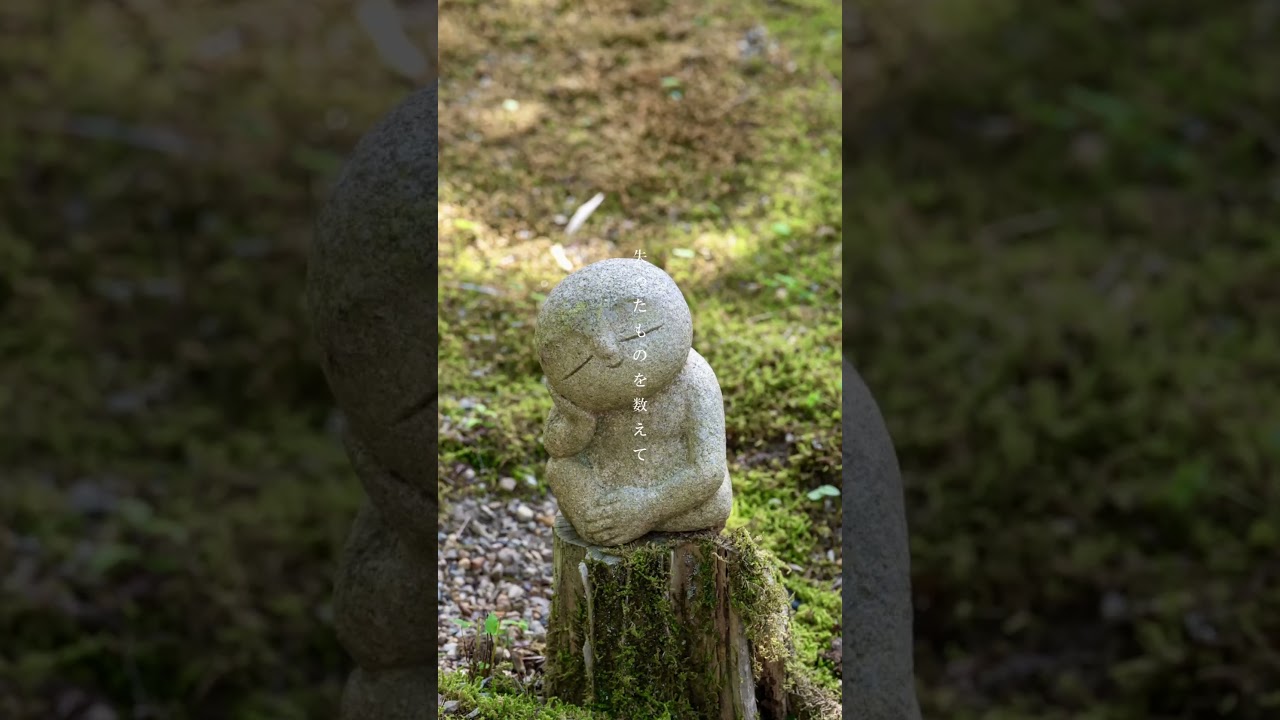 夏、またね #オリジナル曲 #夏の思い出 #adplustas