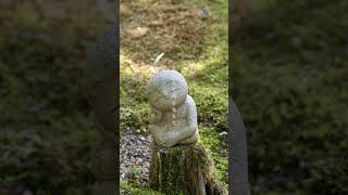 夏、またね #オリジナル曲 #夏の思い出 #adplustas