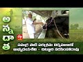 Integrated dairy farming by educationalist - Chitturi Narasimha Rao | ETV Telugu