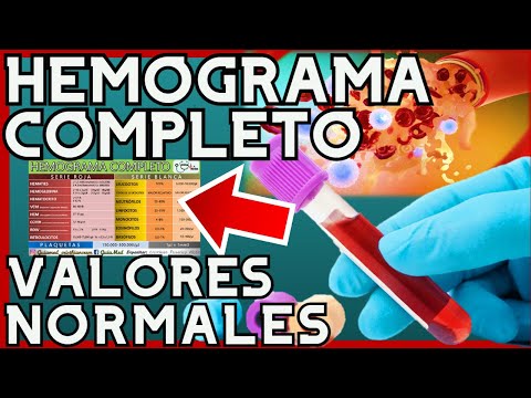 Complete Blood Count Normal Values ​​| GuiaMed