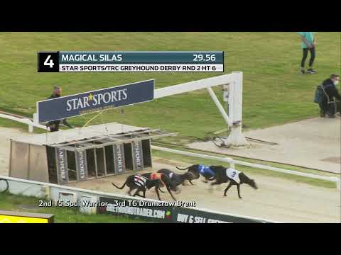 2021 DERBY - R2 HEAT 6 - T4  MAGICAL SILAS