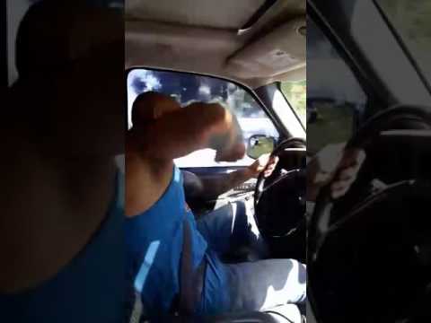 🌴🌴HAWAIIANER DREHT DURCH AUF TONI DER ASSI MUSIK💥💥💥