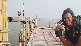 Download lagu BUSET STRIKE TERUS #mancingcantik mp3 Download lagu BUSET STRIKE TERUS #mancingcantik mp3