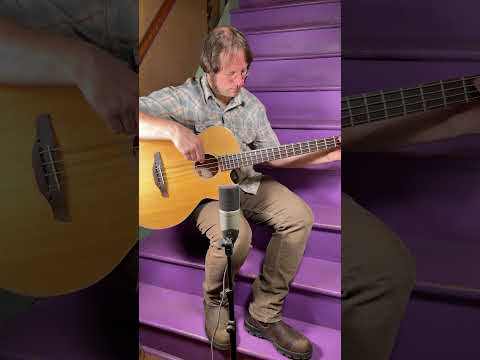 2013 Takamine EG512C 4-String Acoustic Electric Bass Guitar (VIDEO! Fresh Work, Ready) image 20