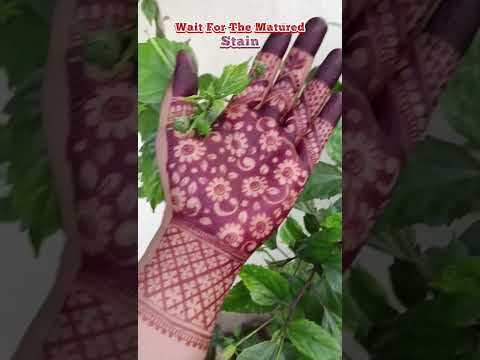 100% Chemical Free Henna Powder Rajasthani