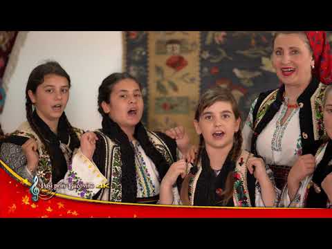 Grupul folcloric   ”Moldava”