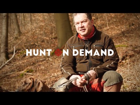 Nachsuche #1 - Jagen NRW Hunt on Demand Trailer