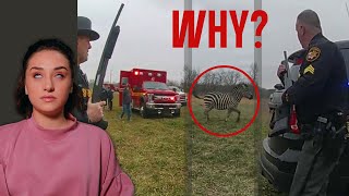 ZEBRA SHOT BY POLICE, Man Kills Horse Because Meat Is Expensive &amp; MORE  | Raleigh Reacts