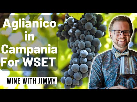 WSET Level 4 Diploma D3 Italy Aglianico and Wines of Campania