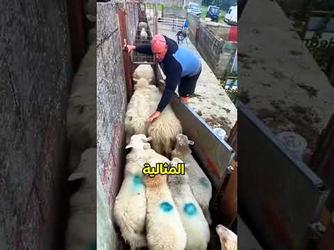 غلطة واحدة كلفت هذا الرجل وظيفته!