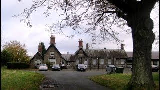 Phoenix Park, in Dublin & Lightnin Hopkins