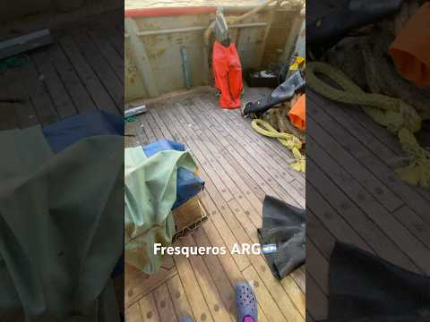 Pesca de Langostino- Rawson Chubut