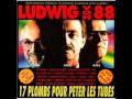 Ludwig von 88 - La ganja 