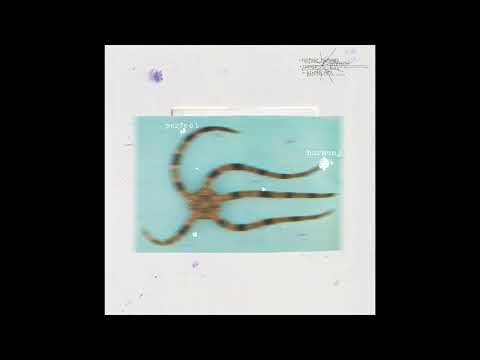 Guy Contact & Solar Suite - Perfect Harmony Ft  sa + ga