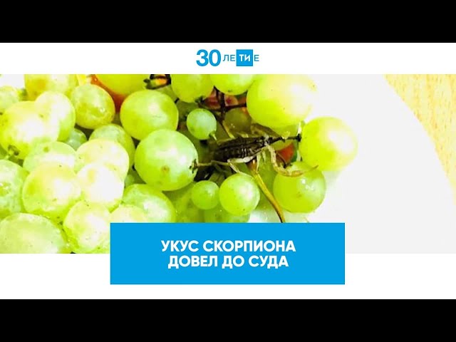 Укус скорпиона довел до суда