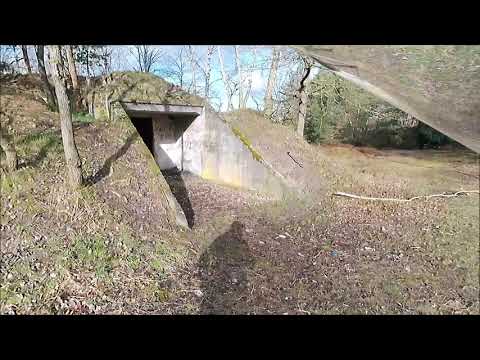 7km Bunker-Wanderung in der Heidelandschaft Gardelegen: Entdecke das Nationale Naturerbe Kellerberge
