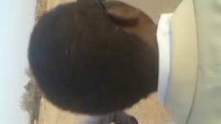 التراث زغاوة في دارغاوة