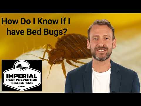 Daytona Beach, Fl. number one pest control company