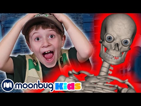 Giant Dinosaurs & Skeleton Escape! Scary Halloween Special, T-Rex Ranch!