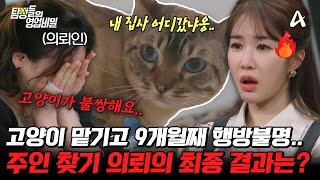 Download lagu [#탐정들의영업비밀] 고양이들을 반려동물 호텔에 유기 후 잠적했다?😮 미스터리 투성이 고양이 주인 찾기 의뢰! 과연 결과는?💥 | #탐정들의영업비밀 60회 mp3