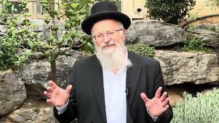 איך שומרים שבת? | הרב שמואל אליהו | הלכה יומית | ח' אדר ב' תשפ"ד (הרב שמואל אליהו) - התמונה מוצגת ישירות מתוך אתר האינטרנט יוטיוב. זכויות היוצרים בתמונה שייכות ליוצרה. קישור קרדיט למקור התוכן נמצא בתוך דף הסרטון