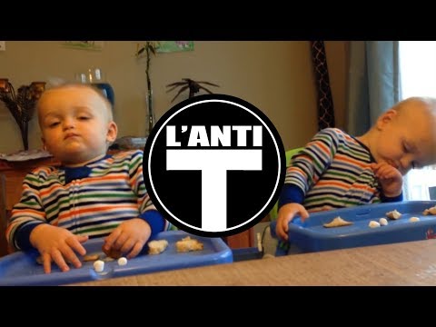 Boire avec ses copains - L'Anti-T