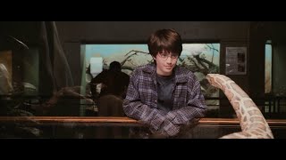 Harry Potter and the Sorcerers Stone - Reptile Hou
