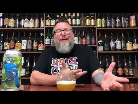 Massive Beer Review 2279 Tree House Brewing Curiosity 72 Hazie