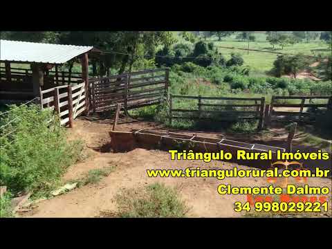 Triângulo Rural - Fazenda a Venda  Cascalho Rico 6 Alqueires