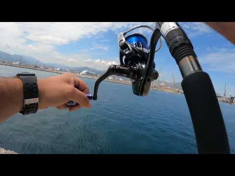 SHORE JIGGING : una giornata (s)fortunata.