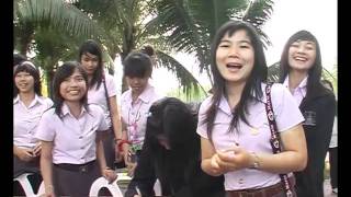 ปักษ์ใต้บ้านเรา / Our Southern Home ... Scoop