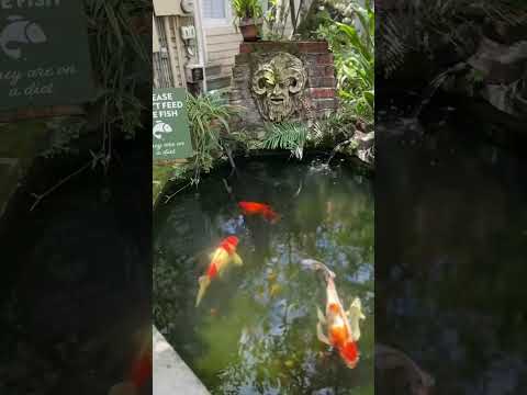 The Wellborn is truly magical