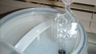 Ricky Anguizola - How to Homebrew - Make your own Beer - Home Brewing Guide