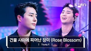 Download lagu [4K/Exclusive] Young K (DAY6) - Rose Blossom (Original song by H1-KEY) l @JTBC K-909 230513 mp3