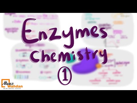 Enzyme Chemistry part (1) - Moaz Wahdan